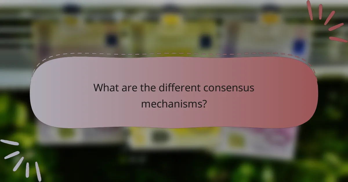 What are the different consensus mechanisms?